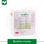BACTOCELL
