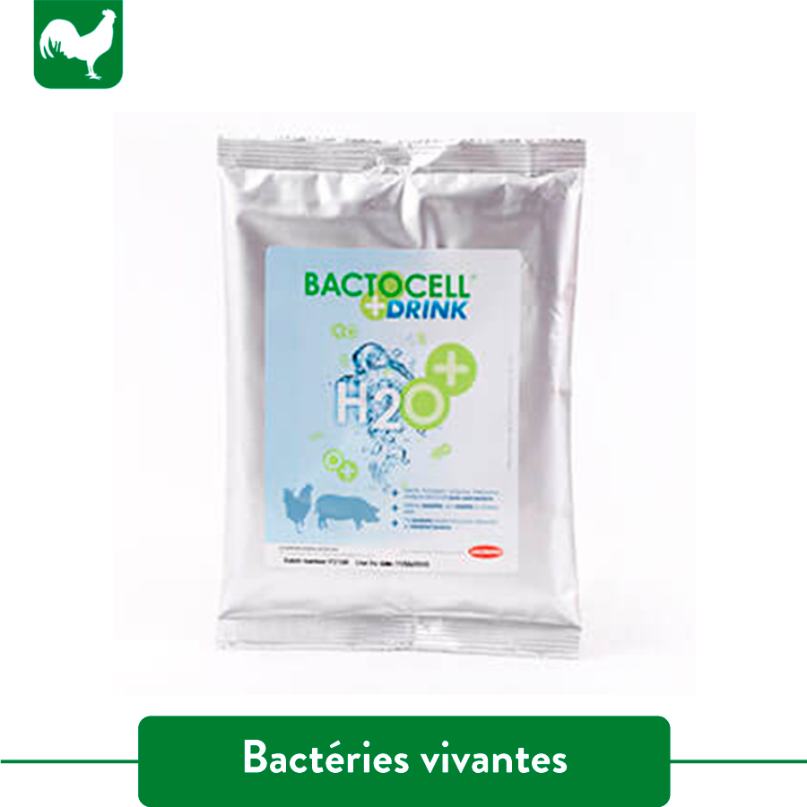 BACTOCELL-DRINK BACTOCELL DRINK – Image 1