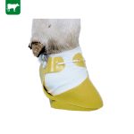 CHAUSSON POUR ONGLONS SHOOF