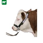 LICOL POUR BOVINS ET TAURILLONS