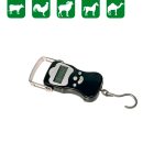 PESON DIGITAL DIGISCALE 50