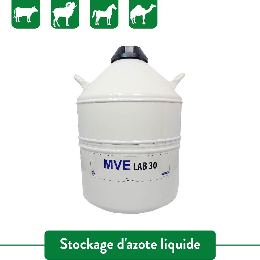 Container MVE LAB 30 CONTAINER MVE LAB 30 – Image 1