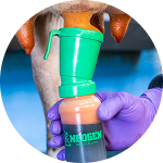 HYGIÈNE ET DÉSINFECTION