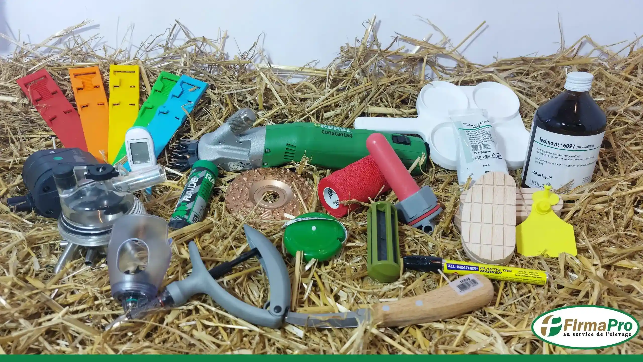 elevage-les-epidemies-origine-animale-augmentent-avec-multiplication-betailJ-2-1 (1) (2)